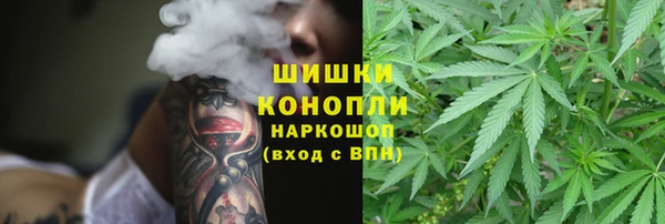 спиды Абаза